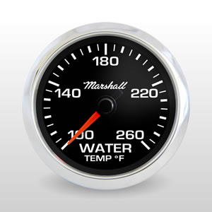 Water Temperature
Item: 5134
