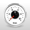 Oil Pressure
Item: 4233